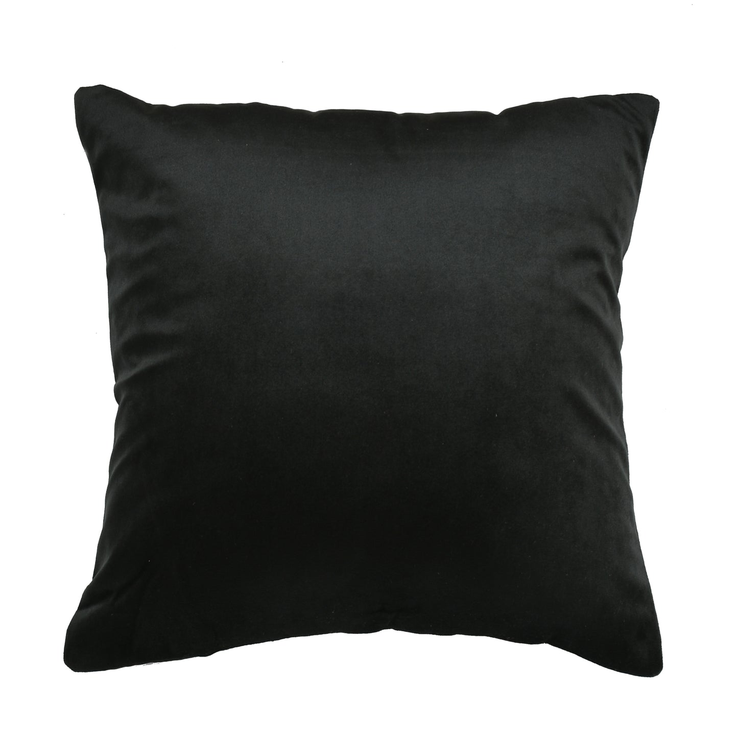 Bigger Fish Set of 5 Printed Velvet Cushion Covers - Sky Blue (16x16 Inches)