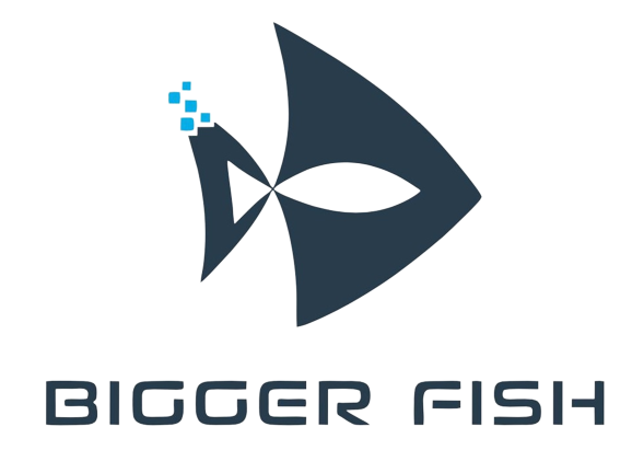 Bigger Fish Clear Vinyl Tablecloth 40x60 Inch Waterproof/Oil-Proof Plastic Transparent 2-4 Seater Center Table Cover