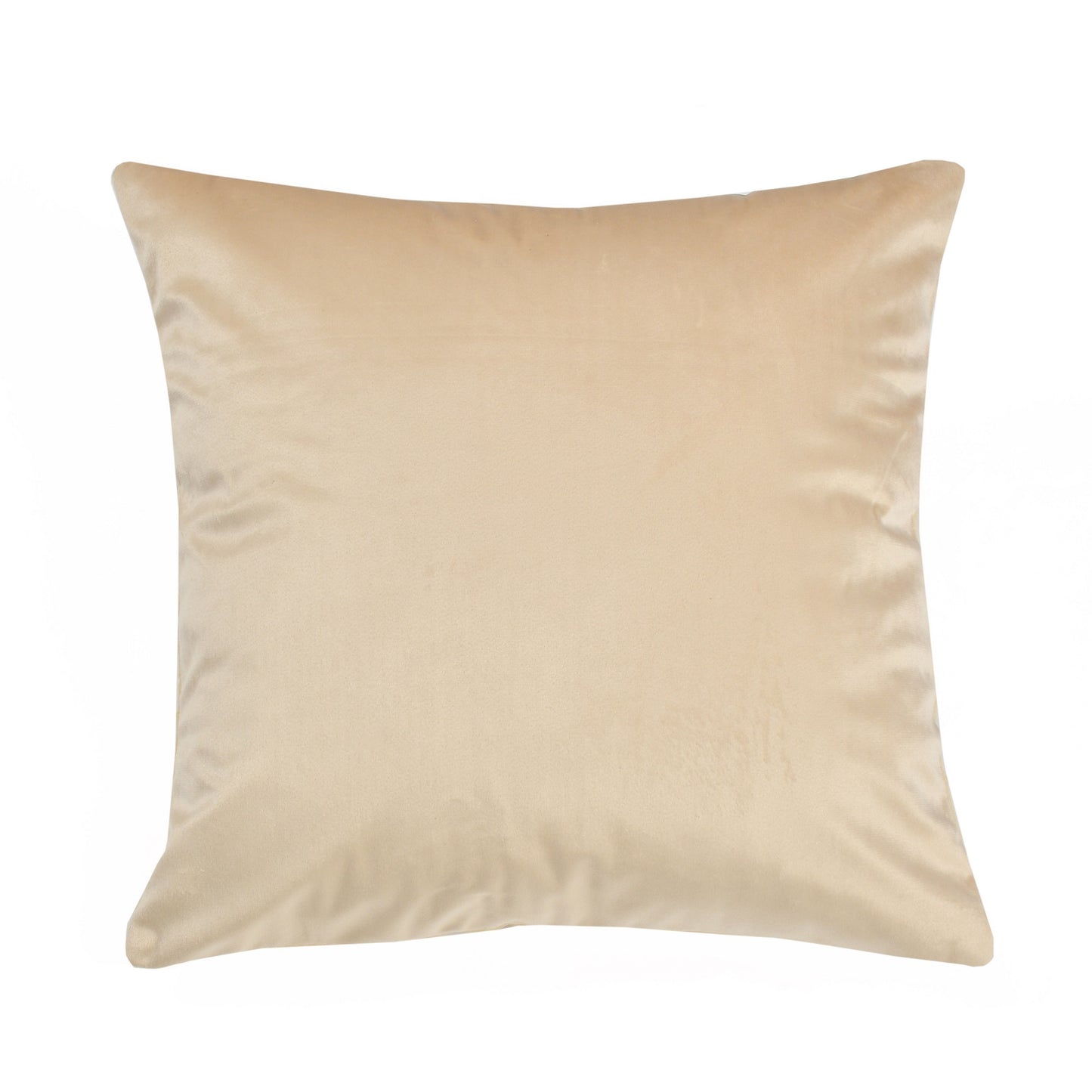Bigger Fish Set of 5 Plain Velvet Cushion Covers - Cream (16x16 Inches)